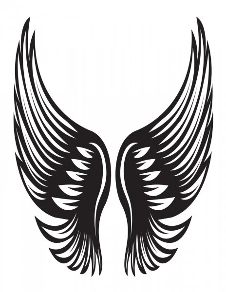 Тату Крылья