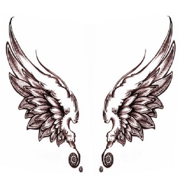 Крылья набросок