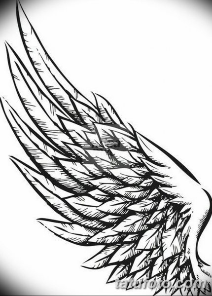 Крылья эскиз