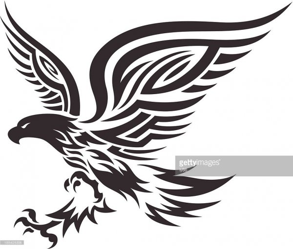 Тату Сокол в стиле трайбл