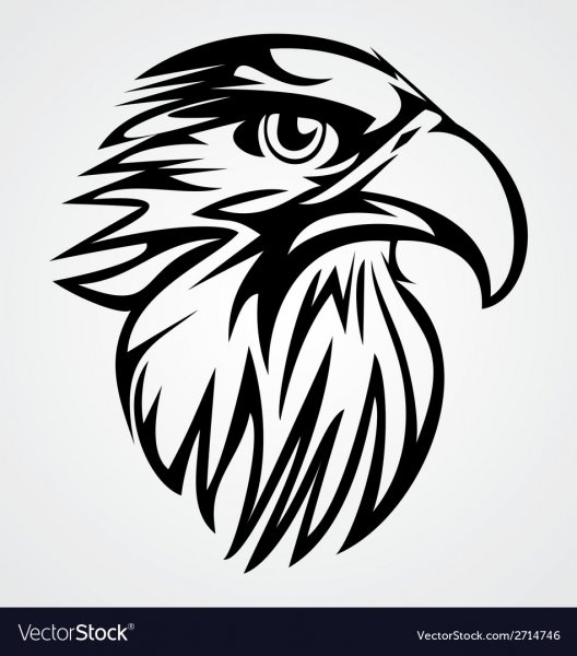 Голова орла трайбл