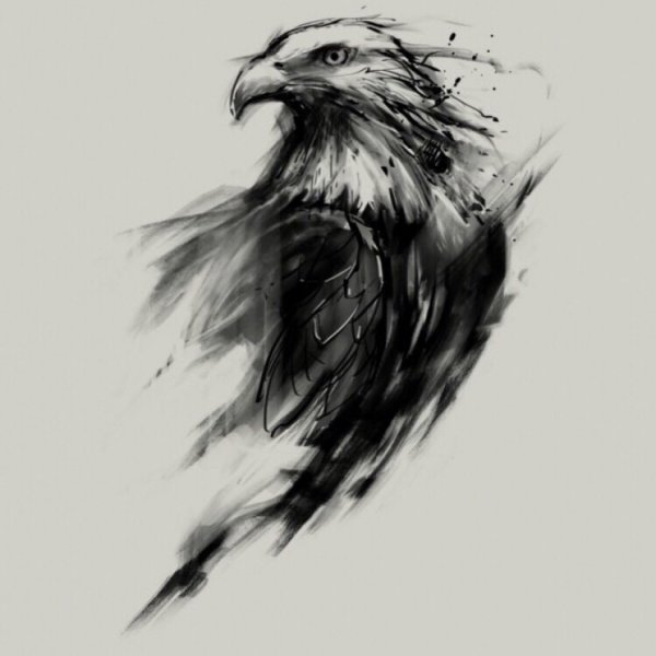 Эскизы татуировок Орел