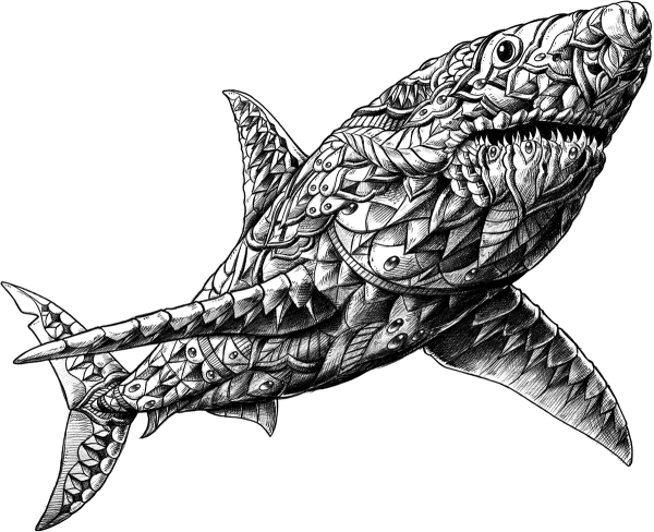Акула набросок