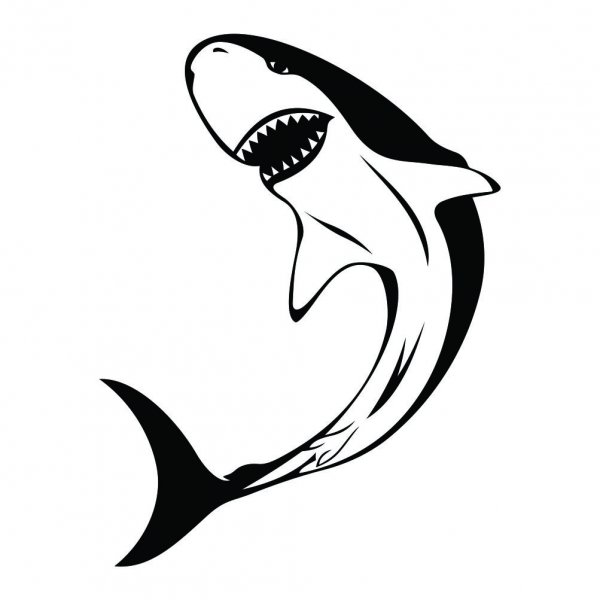 Тату акула чб