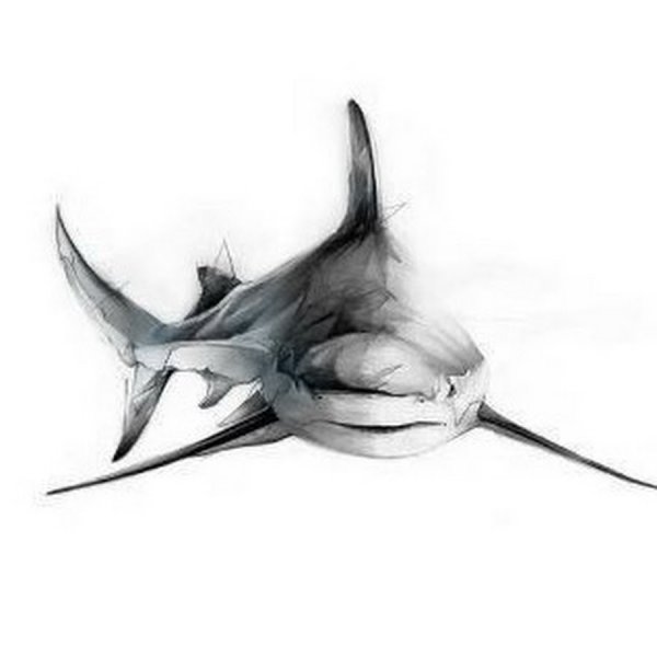 Тату акула эскиз