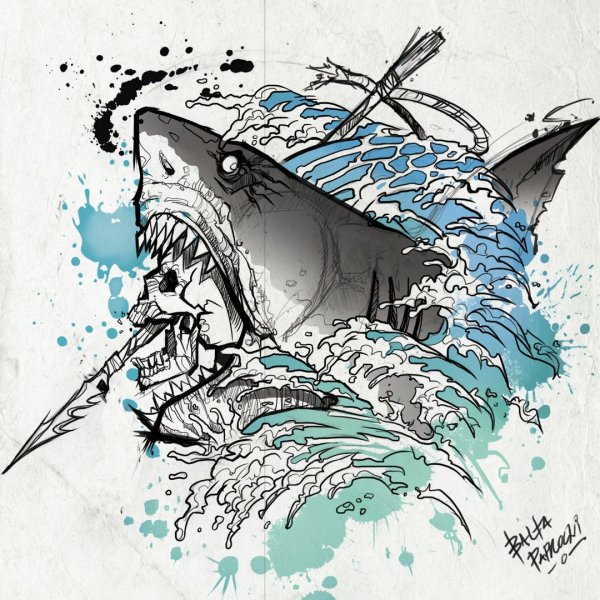 Тату акула эскиз