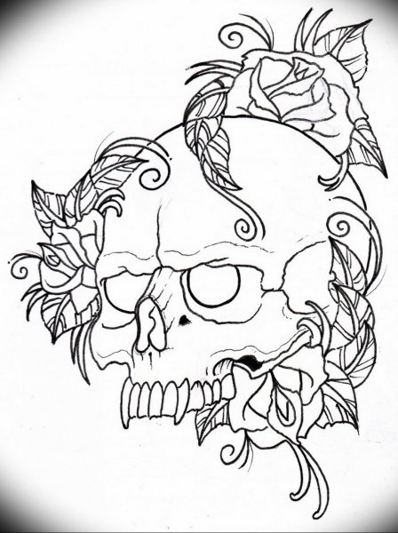 Череп эскиз