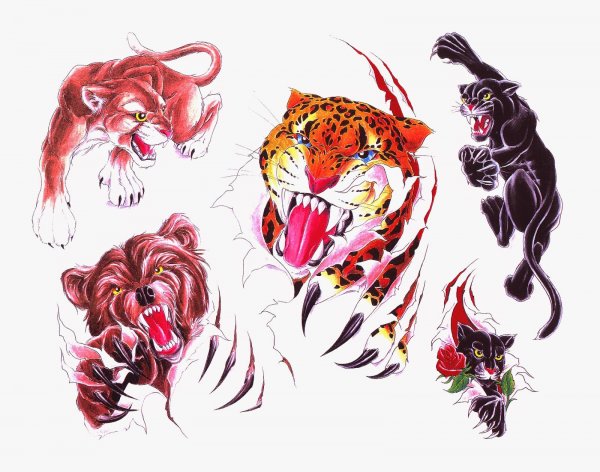 Тату эскизы животных цветные
