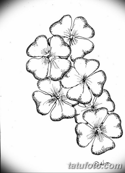 Клевер четырехлистный черно белый