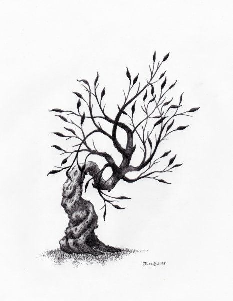 Красивое дерево эскиз