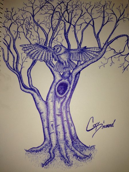 Сухое дерево эскиз