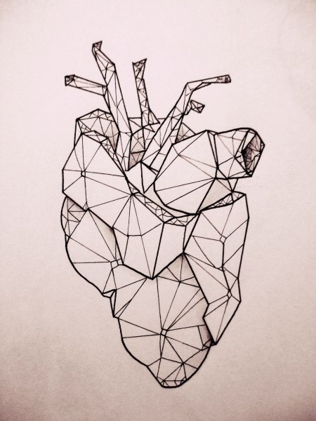 Геометрия эскизы