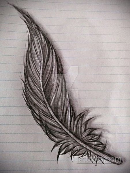 Красивое перо