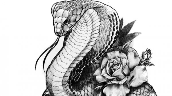Змея тату эскиз