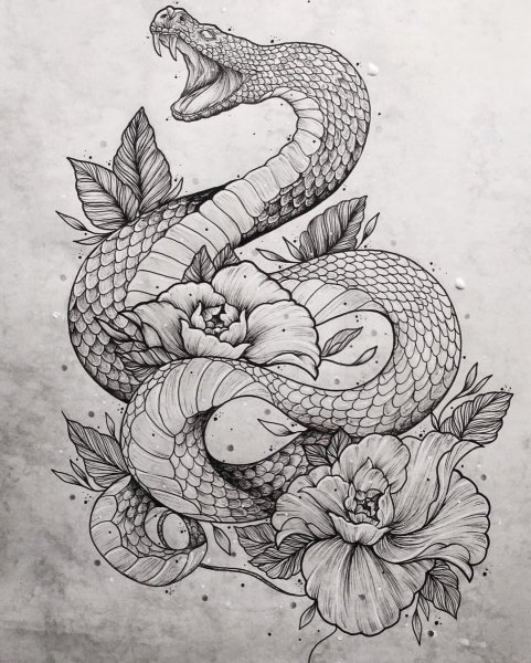 Ламия Королевская Кобра