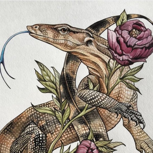 Зарисовка ящерицы