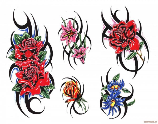 Эскизы татуировок для девушек цветные