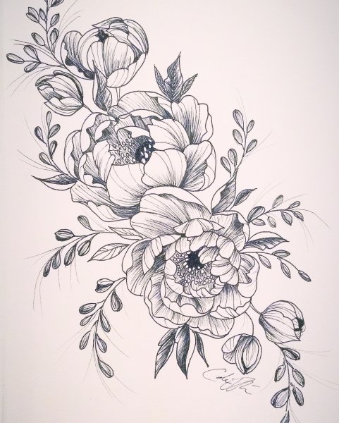 Пион Зентангл