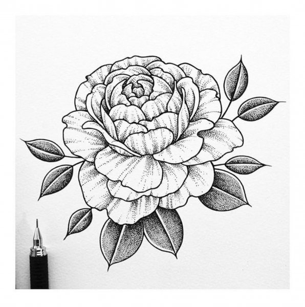 Пионы дотворк