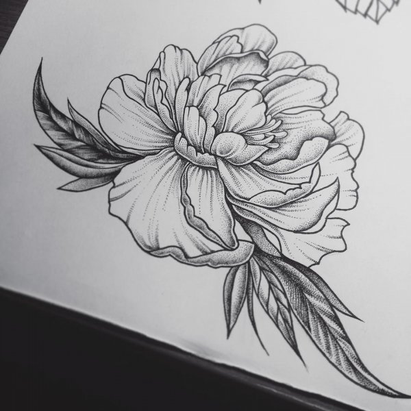 Тату пионы дотворк