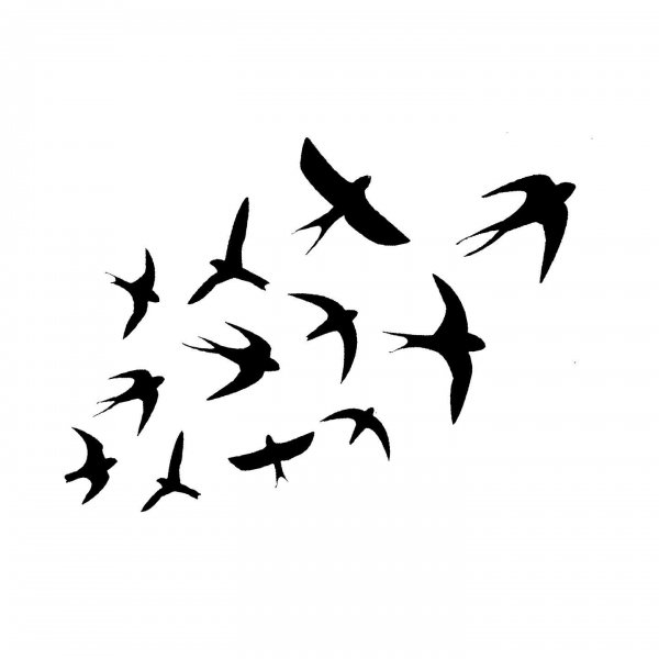 Тату черная птица