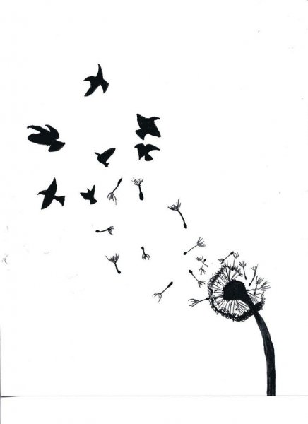 Тату эскизы для девушек птицы