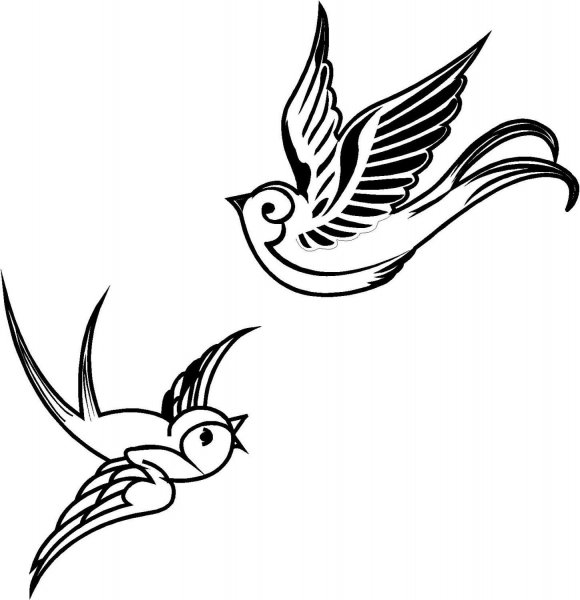 Птички эскиз