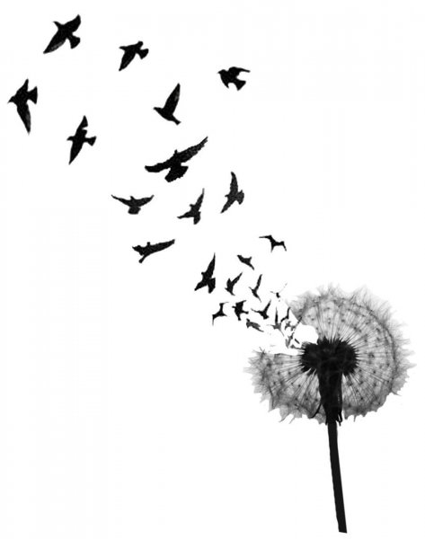 Тату эскизы птицы