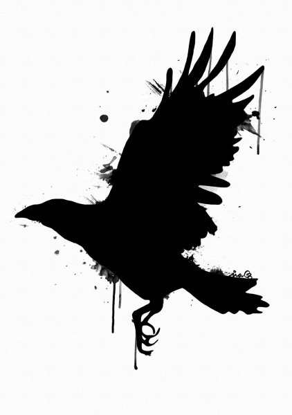 Ворон тату эскиз