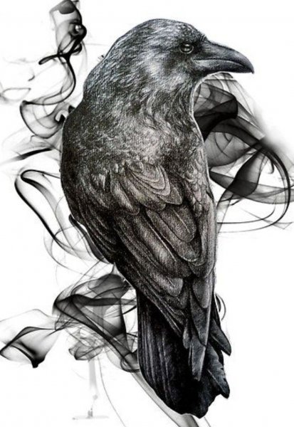 Тату ворона