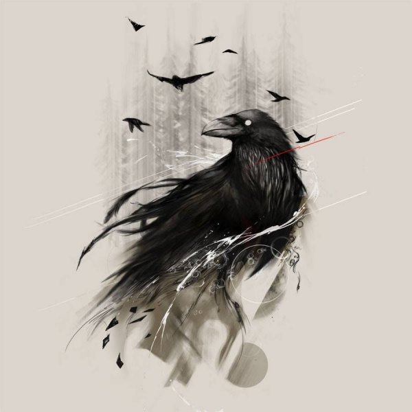 Тату с воронами эскиз