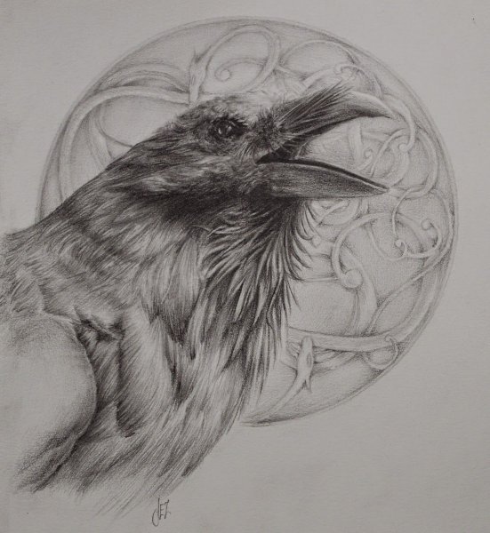Голова ворона тату