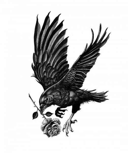 Ворон тату эскиз