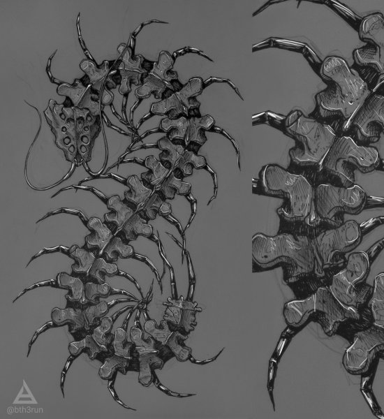 Сколопендра Ведьмак