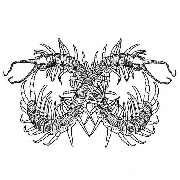 Многоножка тату эскиз