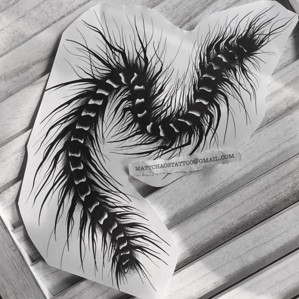 Тату сороконожка