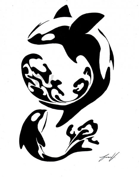 Касатка трафарет