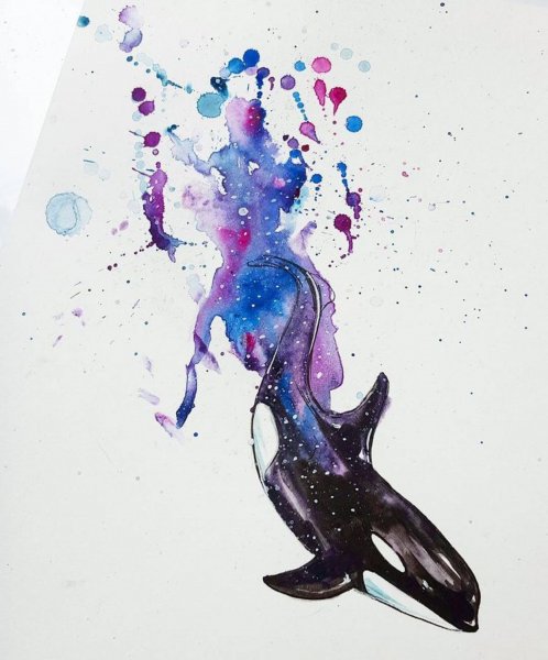 Касатка арт