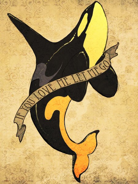 Стилизованная Касатка