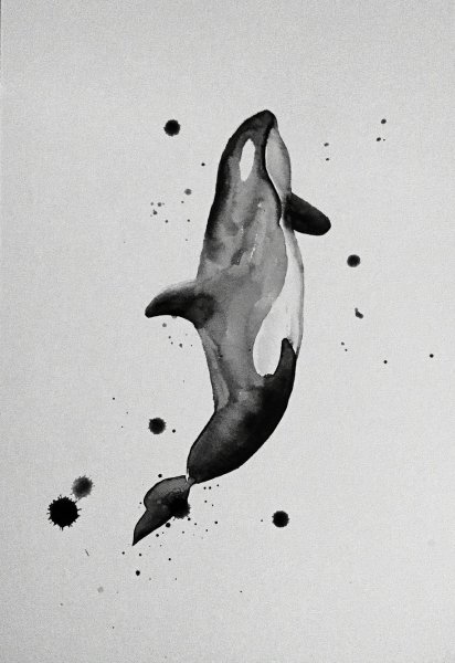 Касатка Минимализм