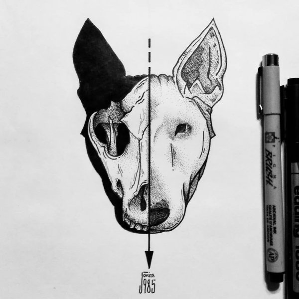 Тату собака эскизы