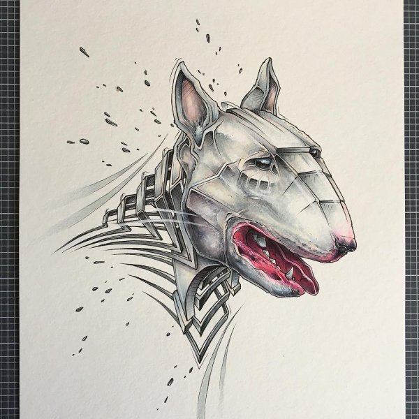 Бультерьер Графика эскиз