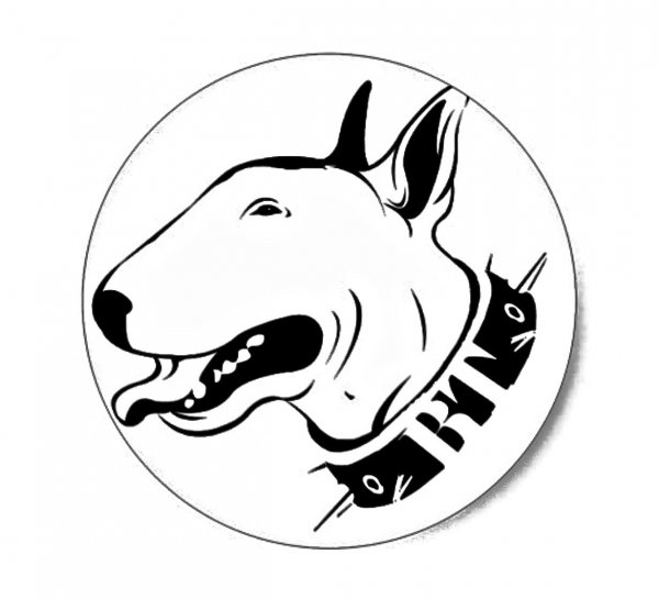 Бультерьер эскиз