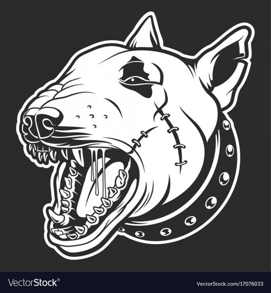 Бультерьер эскиз