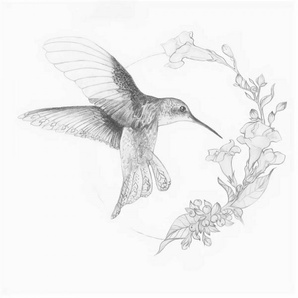 Тату Колибри эскизы