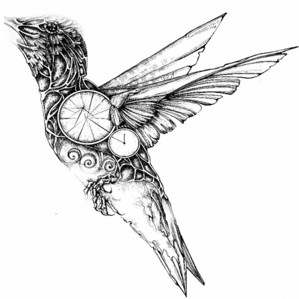 Графические птицы