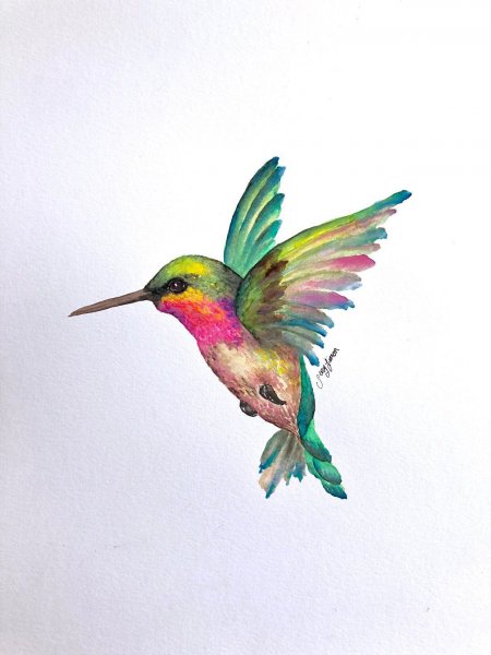 Птичка Колибри эскиз тату