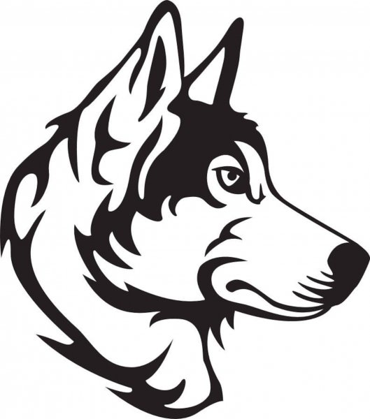 Трафарет для выжигания по дереву хаски