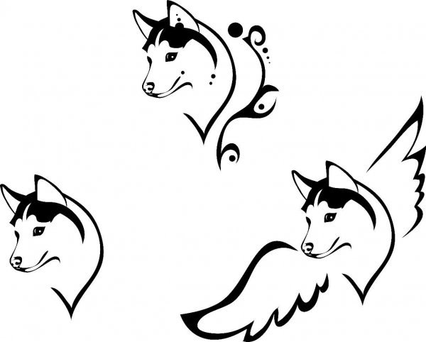 Собака хаски стилизованная