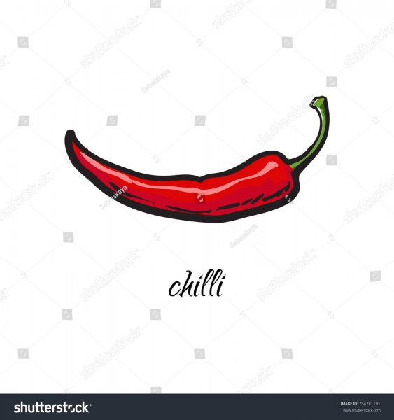 Перец Чили эскиз